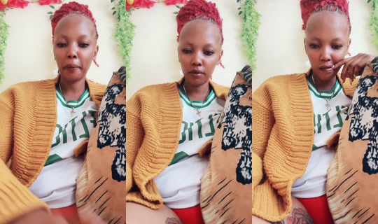 .paprika21 TikTok Live — Jul 12, 2026, 5:47 AM