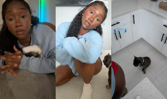 .upthescore TikTok Live — Jul 14, 2026, 1:23 PM