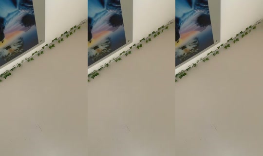 0hn0.buni TikTok Live — Aug 16, 2026, 7:58 AM