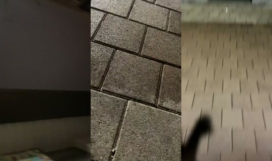 2u0s__ TikTok Live — Jul 14, 2026, 4:08 PM