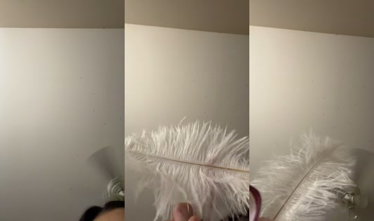 6u6lxum TikTok Live — Jul 14, 2026, 2:42 AM