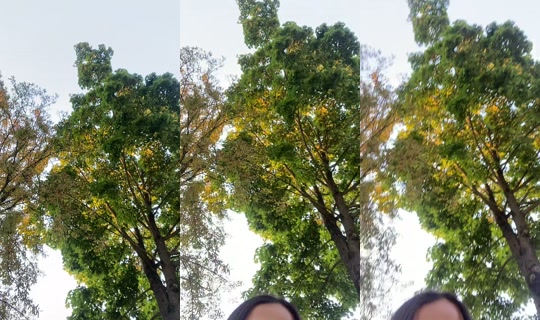 _.an3t TikTok Live — Aug 13, 2026, 5:43 PM