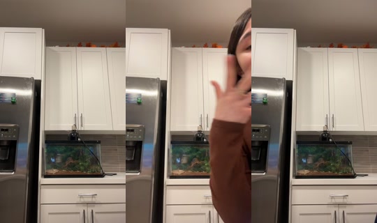 _4hunnidbabi TikTok Live — Sep 7, 2026, 12:59 PM