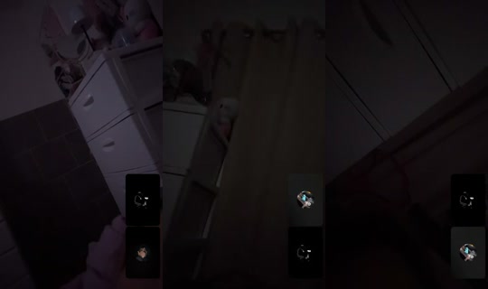 ____07f7 TikTok Live — Aug 2, 2026, 7:23 AM