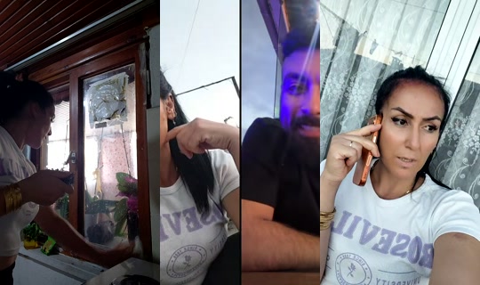 _figenberra__ TikTok Live — Aug 14, 2026, 4:50 PM