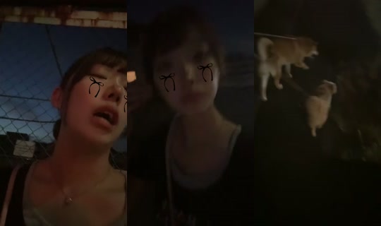 _i2oxwy TikTok Live — Aug 20, 2026, 10:19 AM