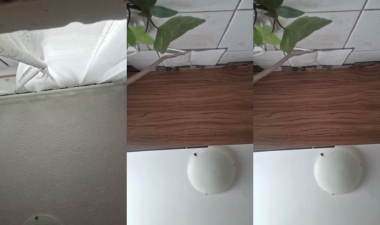 _kira.lovki_ TikTok Live — Jul 15, 2026, 11:11 AM