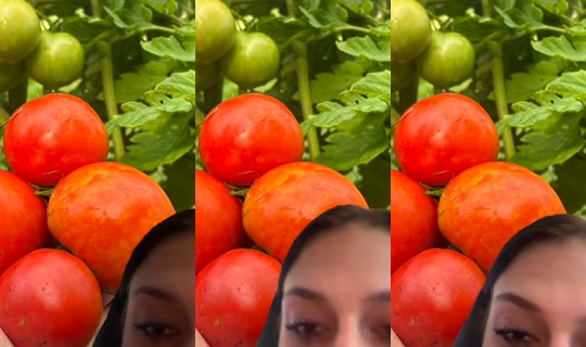 _phattbabyy_ TikTok Live — Jul 15, 2026, 10:46 AM