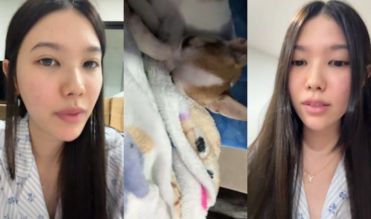 _y.yumi TikTok Live — Sep 14, 2026, 7:49 PM