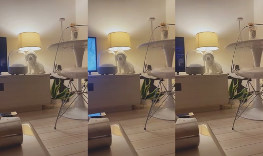 aaaaaaoooi TikTok Live — Sep 5, 2026, 3:13 PM