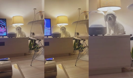 aaaaaaoooi TikTok Live — Sep 5, 2026, 4:03 PM