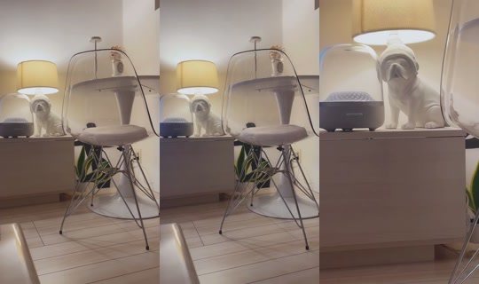 aaaaaaoooi TikTok Live — Sep 6, 2026, 5:28 PM