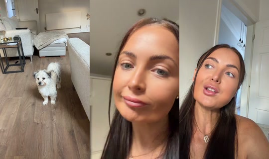abb7_10 TikTok Live — Jul 31, 2026, 6:03 PM