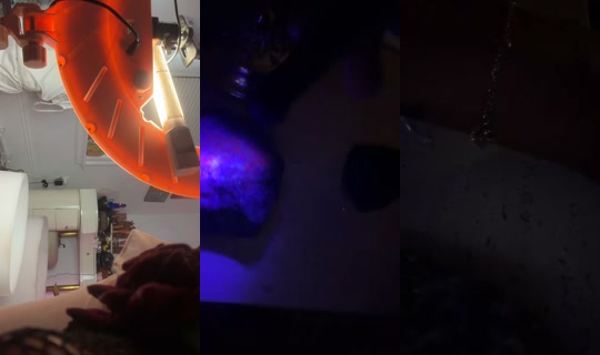 adoseofgrace369 TikTok Live — Sep 4, 2026, 3:46 AM