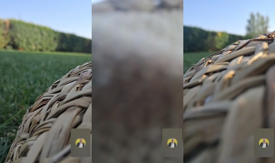adrirebeca9 TikTok Live — Aug 1, 2026, 4:30 PM