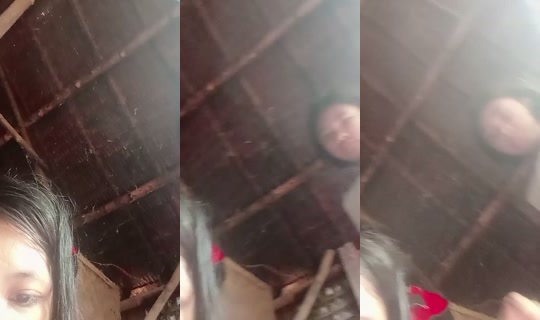 alayzalutche TikTok Live — Sep 19, 2026, 1:43 AM