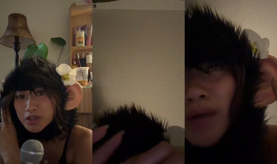 almondandthechipmunks TikTok Live — Jul 22, 2026, 8:17 AM