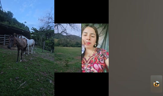 angelasalazaralza TikTok Live — Sep 12, 2026, 10:55 PM
