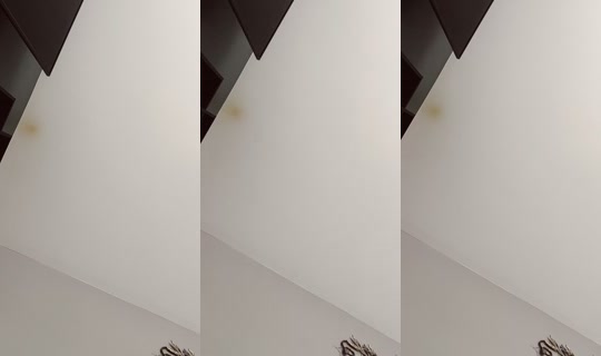 annalyn_47 TikTok Live — Aug 5, 2026, 4:31 PM