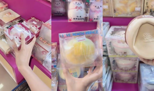 apoandfamily0 TikTok Live — Jul 13, 2026, 11:04 AM