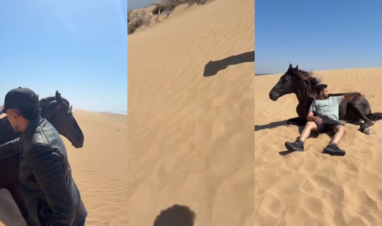 arabicmclovin TikTok Live — Sep 16, 2026, 1:44 PM