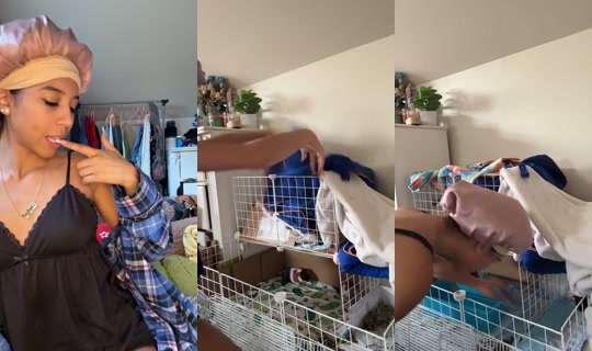 arelynp5 TikTok Live — Aug 2, 2026, 5:20 PM