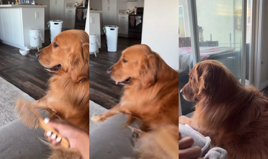 asmitaidate TikTok Live — Jul 15, 2026, 2:35 AM