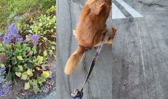 asmitaidate TikTok Live — Jul 15, 2026, 2:24 PM