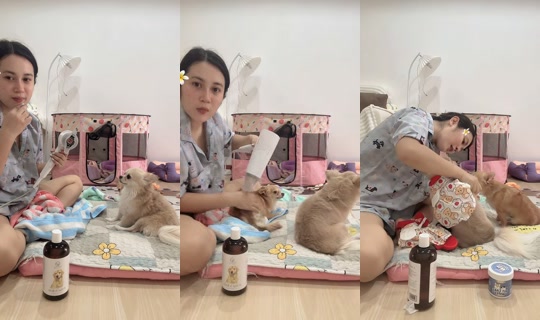 aun13_aunny TikTok Live — Sep 13, 2026, 4:14 AM