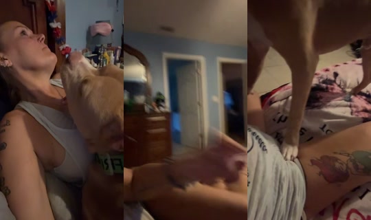 babygurl1984420 TikTok Live — Aug 9, 2026, 11:59 PM