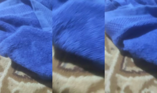 bianglala011 TikTok Live — Jul 11, 2026, 8:09 PM