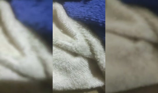 bianglala011 TikTok Live — Jul 15, 2026, 4:48 PM