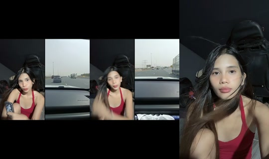 bibsybirds TikTok Live — Aug 4, 2026, 10:37 AM