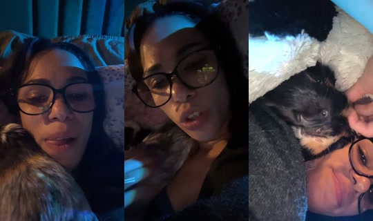 bosy.zaineldean TikTok Live — Aug 23, 2026, 11:57 PM
