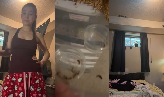 brookelush05 TikTok Live — Aug 10, 2026, 2:04 AM