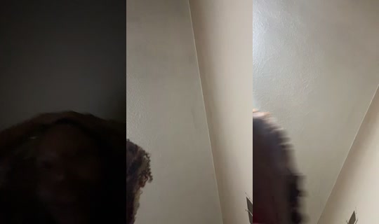 carterrose TikTok Live — Aug 23, 2026, 11:34 AM