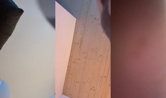 cataley_aaaa TikTok Live — Aug 14, 2026, 9:30 PM