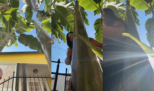 catalinanative TikTok Live — Jul 15, 2026, 12:39 AM