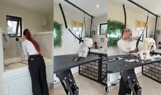 chelseanoblex TikTok Live — Sep 12, 2026, 11:42 AM