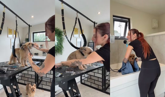 chelseanoblex TikTok Live — Sep 14, 2026, 10:33 AM