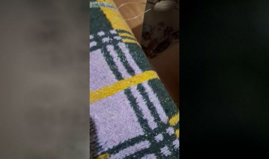 cigdemm6060 TikTok Live — Aug 28, 2026, 11:29 PM