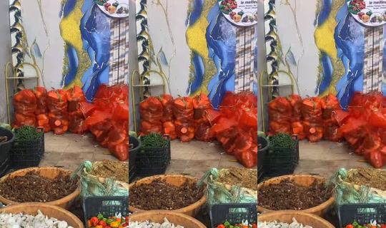 condane.dione4 TikTok Live — Jul 11, 2026, 1:59 PM