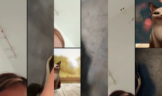 coneja4388 TikTok Live — Aug 3, 2026, 5:59 PM
