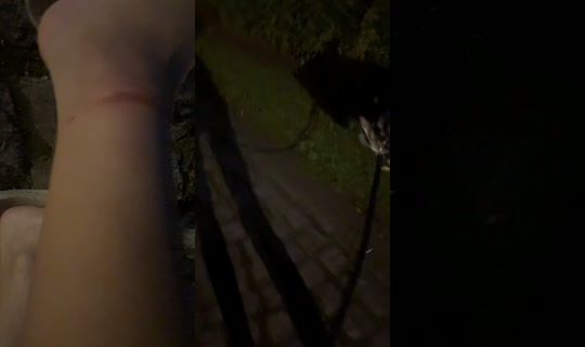 cuteandcomplicated TikTok Live — Jul 15, 2026, 8:36 PM