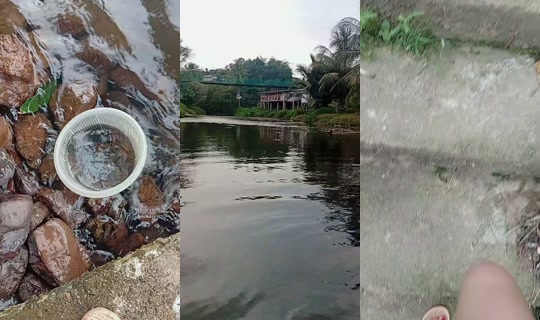 cy.mellas TikTok Live — Aug 3, 2026, 8:47 AM