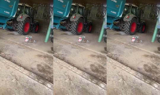 cylialt1 TikTok Live — Jul 14, 2026, 12:51 PM