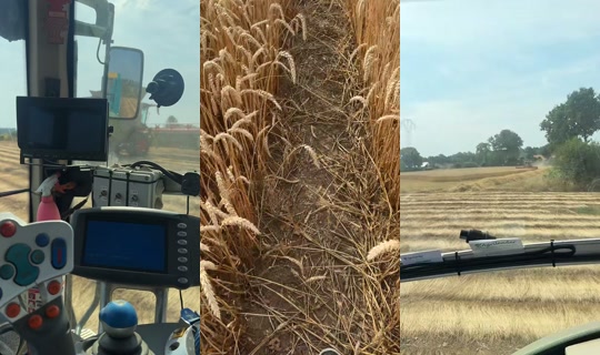 cylialt1 TikTok Live — Jul 15, 2026, 8:27 AM