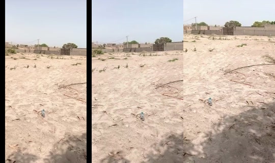 dabax_imo_sope_naby TikTok Live — Jul 15, 2026, 2:26 PM