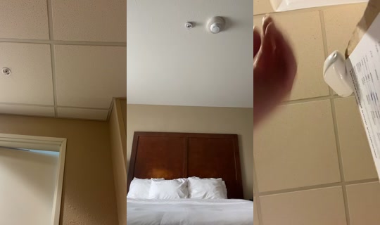 daija.martinez3 TikTok Live — Aug 3, 2026, 8:59 PM