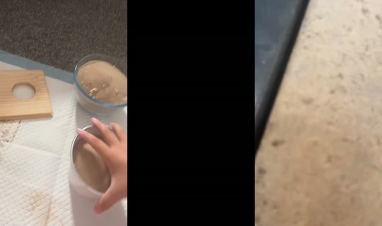 daisy_coco1 TikTok Live — Aug 5, 2026, 2:31 PM